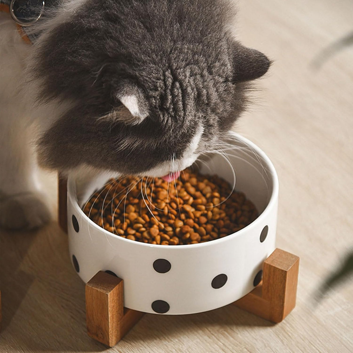 Petygooing Ceramic Dog Bowl Set with Stand  Small Pet Bowls  Anti-Slip Cat & Dog Food and Water Bowl Set (13.5OZ/5.1 in) Black Dot